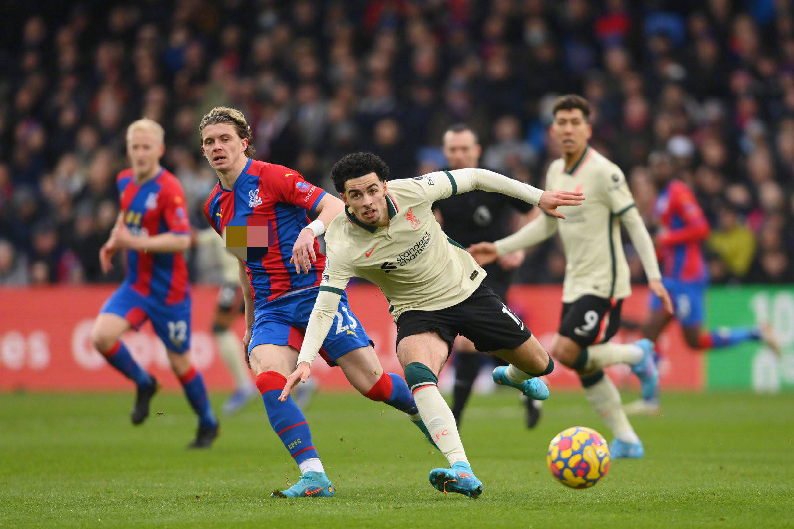 寻属于他的 寻属于他的